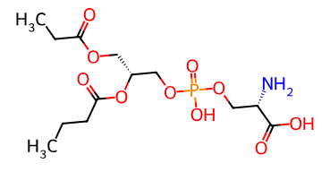 Phosphatidylserine（PS）: The “Natural Brain Nutrient”for Memory Protection
