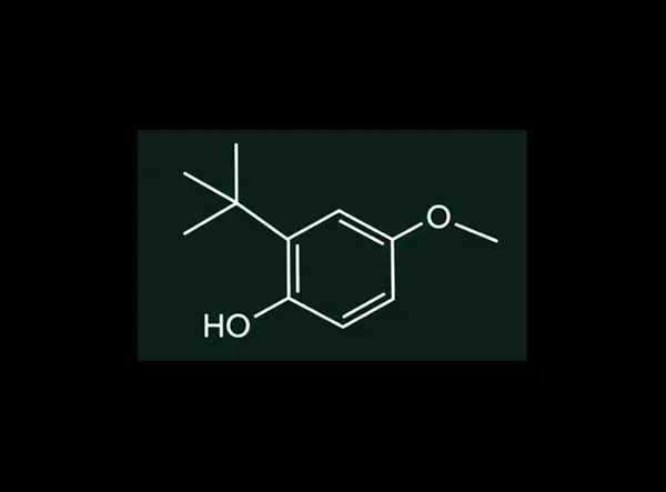 How Is the Safety of BHA Recognized as a Food Additive?