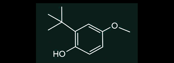 How Is the Safety of BHA Recognized as a Food Additive?