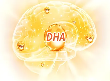 【Brain Health Ingredient Series 5】 Docosahexaenoic Acid (DHA): The &ldquo;Neural Gold&rdquo; for Building the Brain