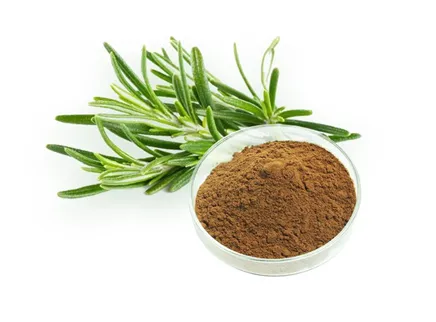 【Food Antioxidants Series 1】 A Natural and Efficient Antioxidant Solution | Rosemary Extract