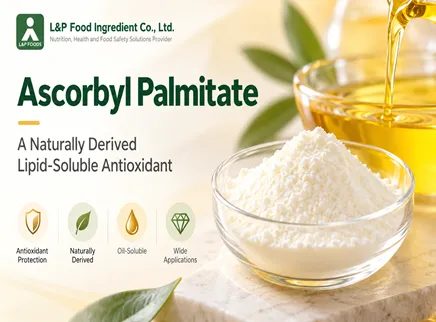 【Food Antioxidants Series 7】  A Naturally Derived Expert in Lipid Preservation | Ascorbyl Palmitate (AP)