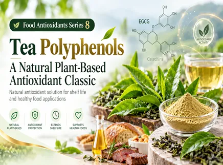 【Food Antioxidants Series 8】A Natural Plant-Based Antioxidant Classic | Tea Polyphenols